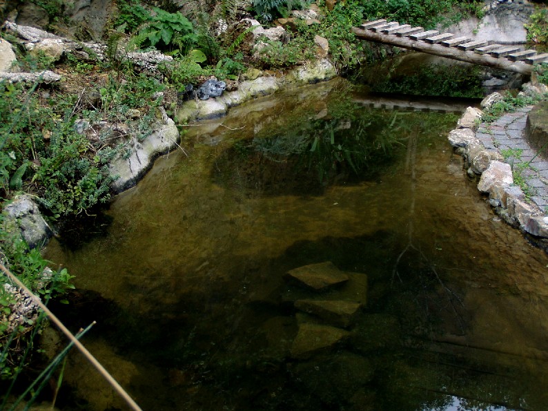 Il Laghetto del Centro di Entomologia - Piombino (LI)